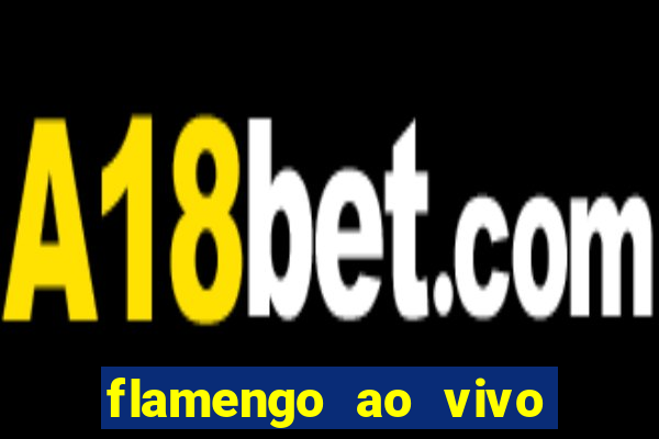 flamengo ao vivo multi tv